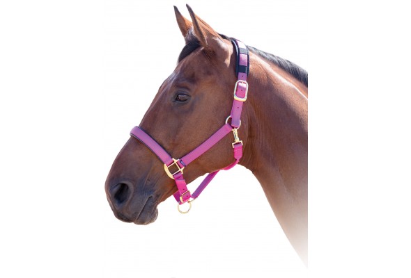 Shires Topaz Nylon Halter