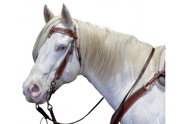 Origin Carved Headstall