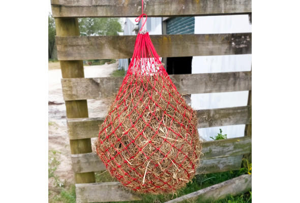 Prima Haynet