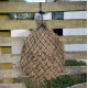 Prima Haynet