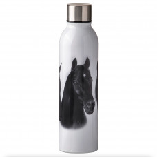 Ashdene Trio Drink Bottle