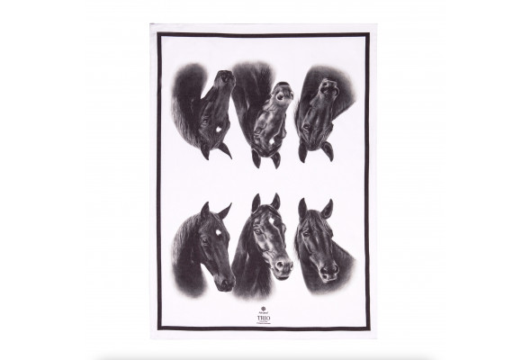 Ashdene Trio Kitchen Towel