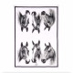 Ashdene Trio Kitchen Towel