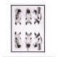 Ashdene Trio Kitchen Towel