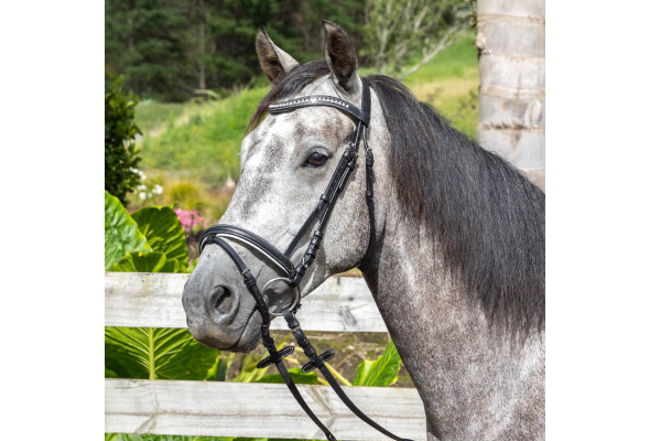 Lindau Crystal Bridle