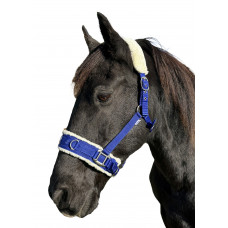 Enzo Lunge Cavesson Web