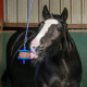 Likit GranoLo