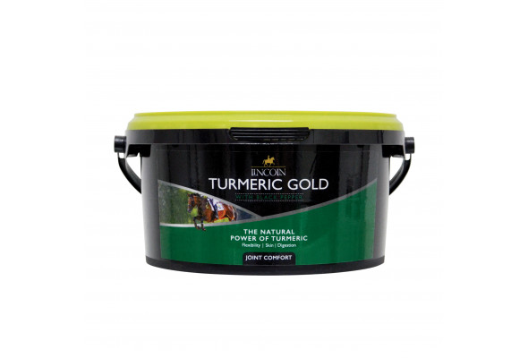 Lincoln Turmeric Gold