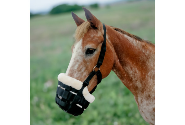 Enzo Grazing Muzzle with Fleece