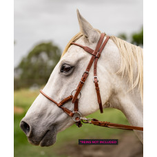 Origin Bitless Bridle
