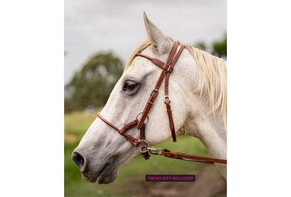 Origin Bitless Bridle