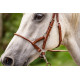 Origin Bitless Bridle