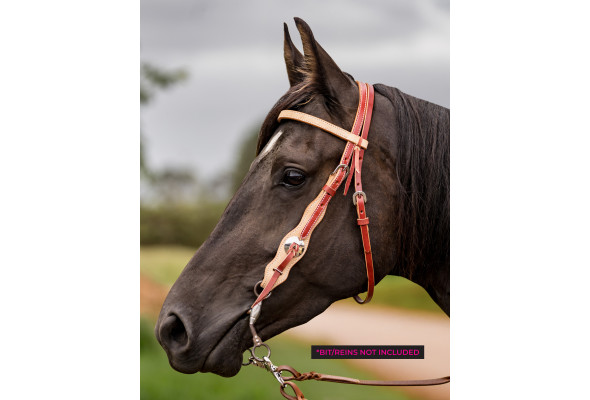 Origin Headstall Plain SS Buckle Origin Headstall Plain SS Buckle