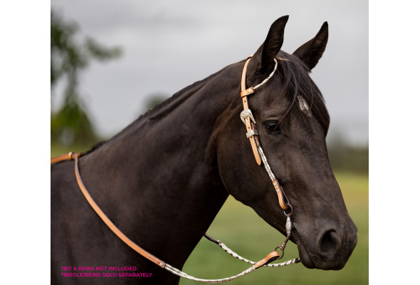 Origin One Ear Headstall wSilver Piping