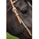 Origin One Ear Headstall wSilver Piping