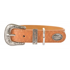 Pure Western Remy Dog Collar