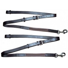 Lunging & Training (38)