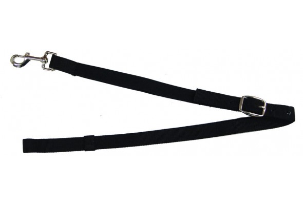 Web Elastic Side Reins