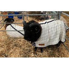 Farm Animals (17)