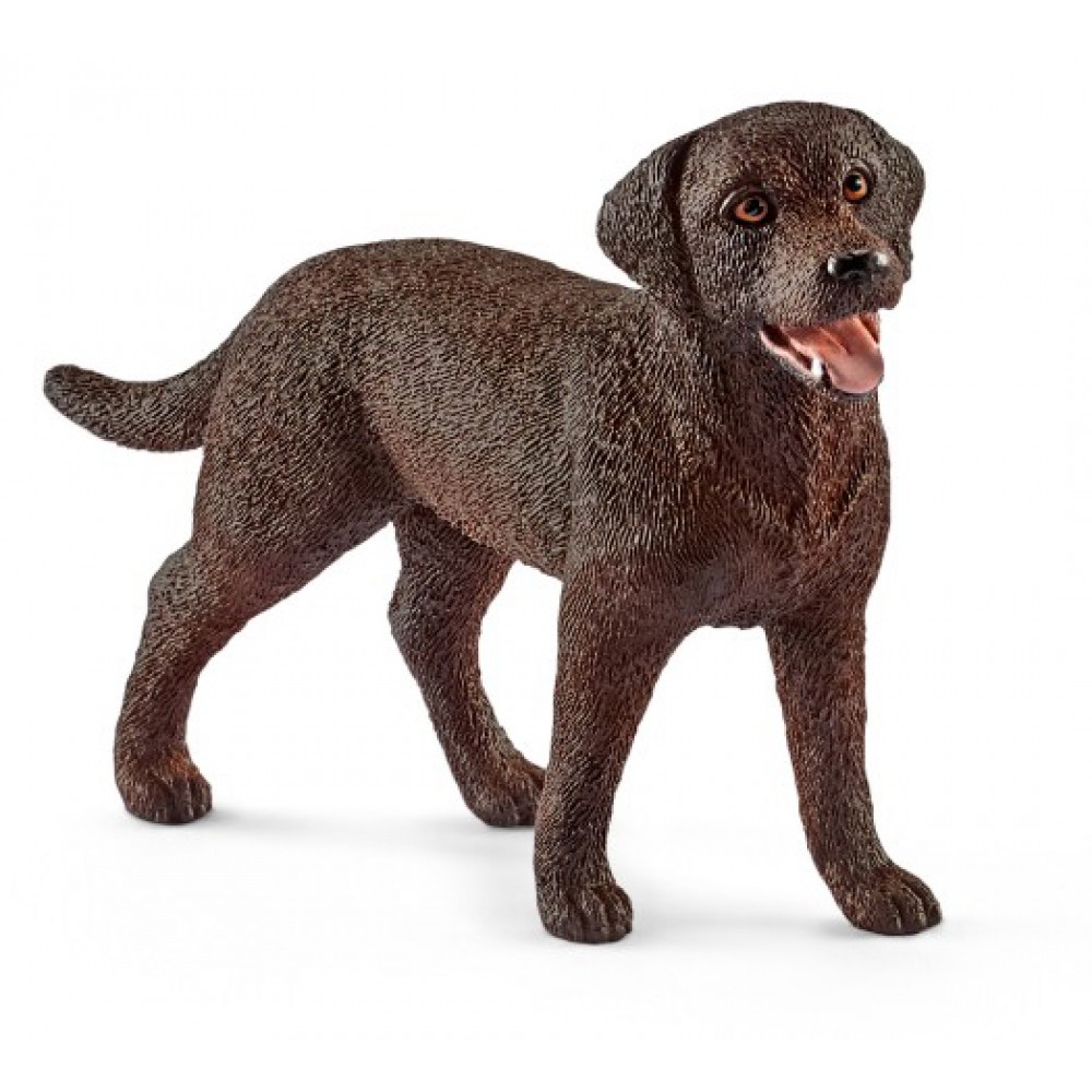 Labrador undercoat shop