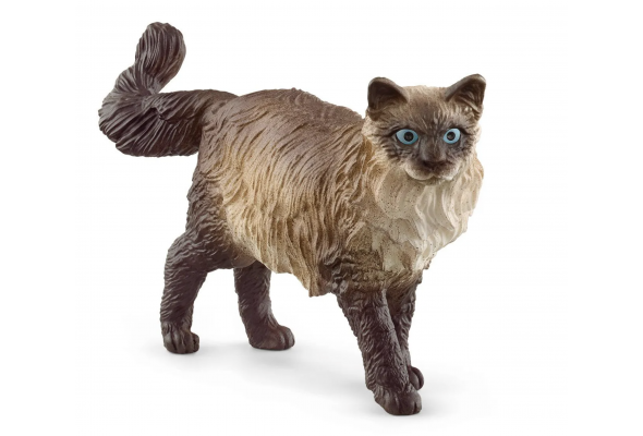 Schleich Ragdoll Cat