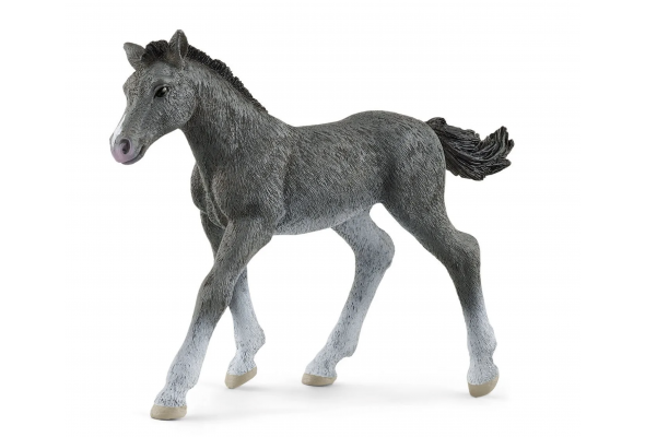 Schleich Trakehner Foal