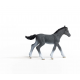 Schleich Trakehner Foal