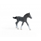 Schleich Trakehner Foal