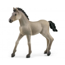 Schleich Criollo Definitivo Foal