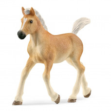 Schleich Haflinger Foal