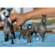 Schleich Selle Francais Mare