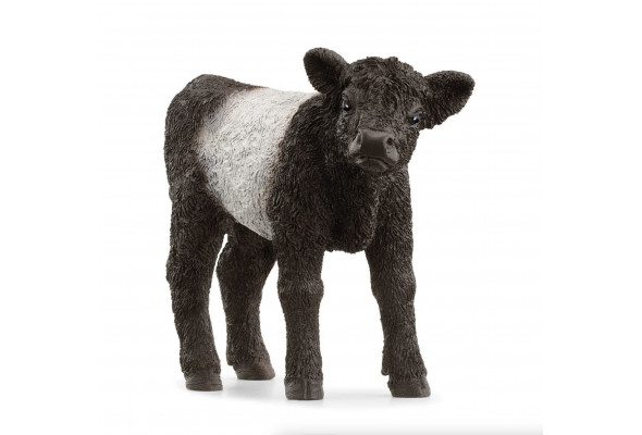 Schleich Galloway Calf