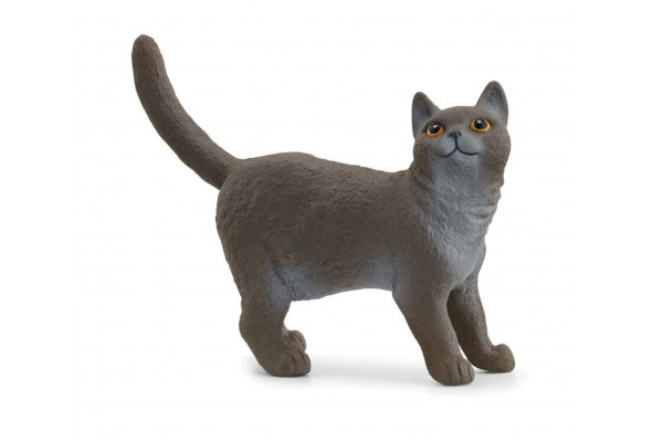 Schleich British Shorthair Cat