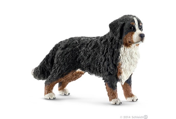 Schleich Bernese Mountain Dog Female