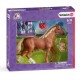 Schleich English TB w/Blanket