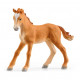 Schleich Lakeside Riding Centre