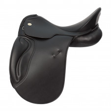 H&P Passion One Dressage