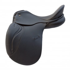 H&P Passion Two Dressage