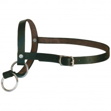 Halters & Leads (8)