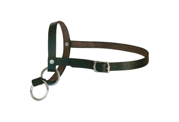 Shoof Leather Calf Leading Halter