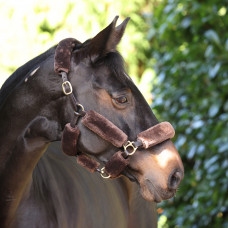 Halters & Leads (97)