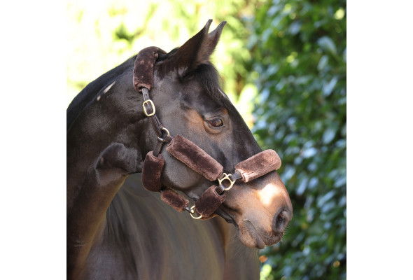 Shires Supafleece Halter Fleece Set