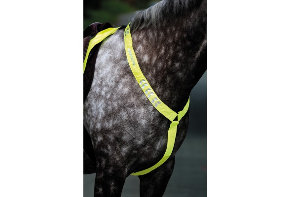 Shires Equiflector Breastplate