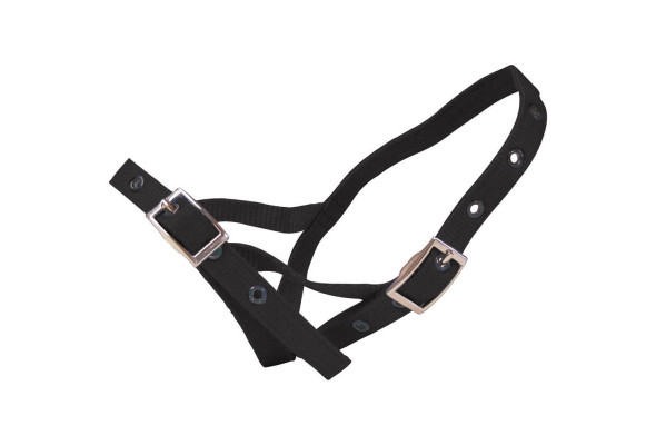 Shoof Halter Nylon Calf Tethering