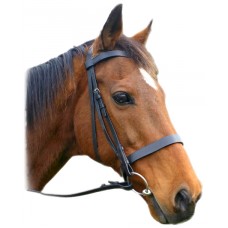 Enzo Flat Show Bridle