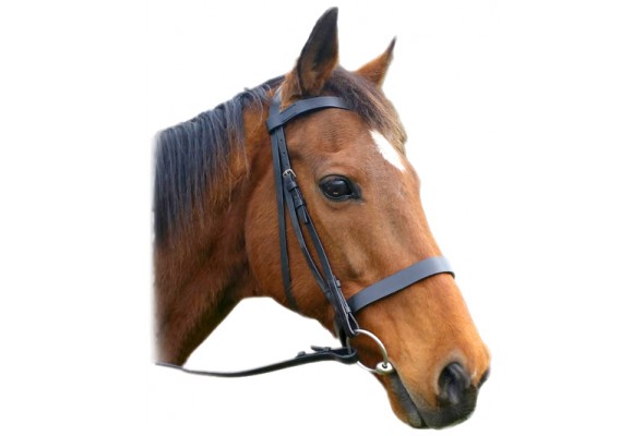 Enzo Flat Show Bridle