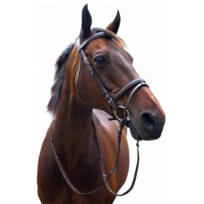 Enzo Hanoverian Raised Bridle