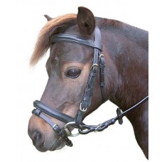 Enzo Hanoverian Raised Bridle Mini