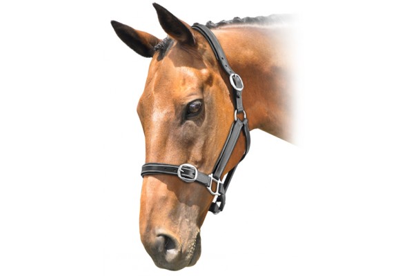 Prima Lthr Stitched Halter