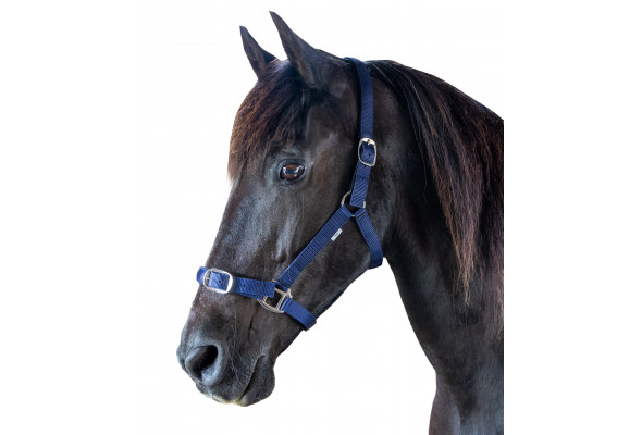 Prima Plus Breakaway Halter